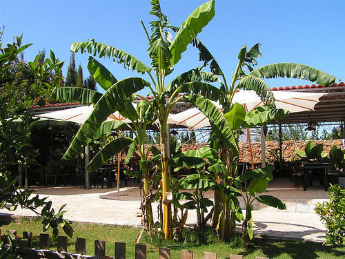 Agriturismo Agave Fertilia Esterno foto